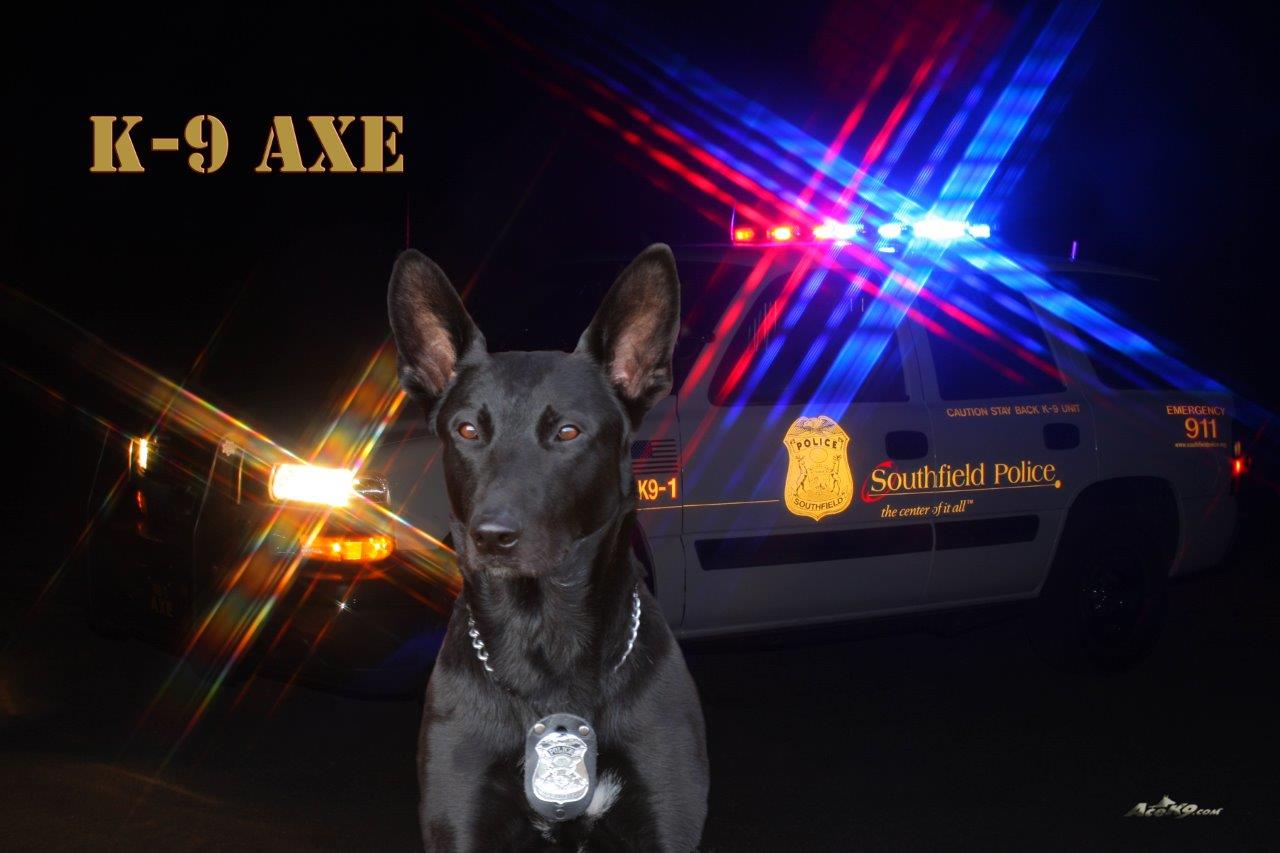 K9 Axe